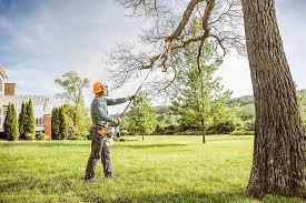 Best Arborist Consultation Services  in Brownsburg, IN