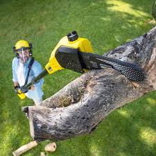 Lawn Grading and Leveling in Brownsburg, IN